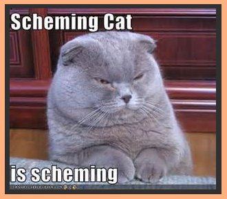 Scheming Cat is Scheming